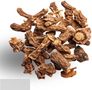 Dried Anantmool Root