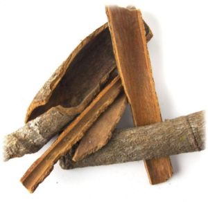 Dried Ashok Bark