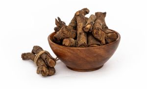 Dried Chitrak Mool Root