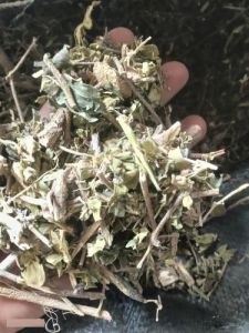 Dried Gudmar Leaves