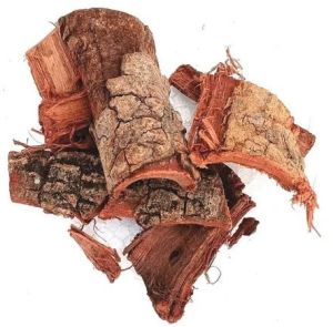 Dried Kachnar Chhal