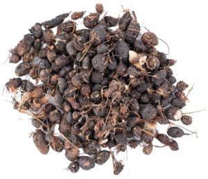 Dried Nagarmotha Roots