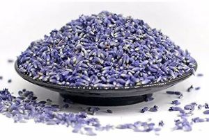 Dry Lavender Flower Buds
