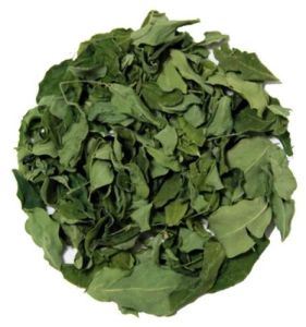 Green Dried Moringa Leaves