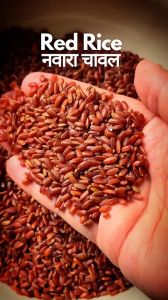 Navara Red Rice