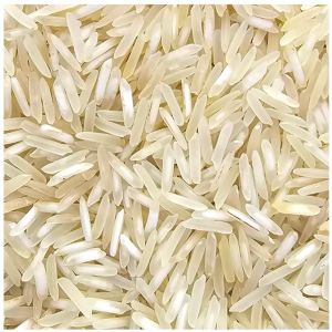 1637 Pusa Basmati Rice