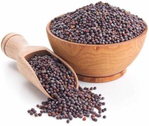A Grade Black Mustard Seed