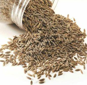Cumin Seeds