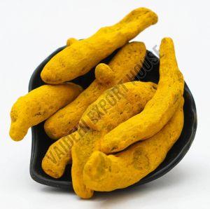 Yellow Turmeric Finger