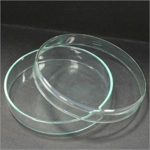 Petri Dish