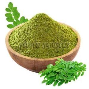Dehydrated Moringa Powder