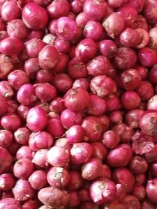 Maharashtra Fresh Red Onion