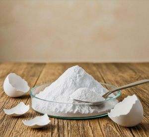 White Eggshell Powder