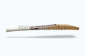 PE Royal Willow Cricket Bat