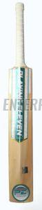 PE Titanium Elite Cricket Bat