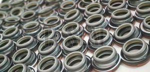 Black Hydraulic Seal Kit