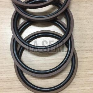 Round Dkbi Wiper Seal