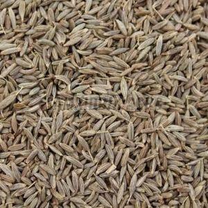 Clean Cumin Seeds