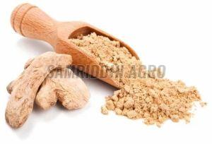 Dry Ginger Powder