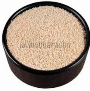 Premium Poppy Seeds