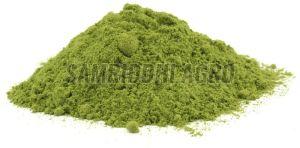 Pure Moringa Powder