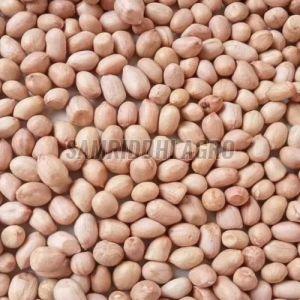 Raw Peanut Kernels