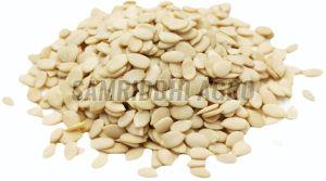 Watermelon Seeds