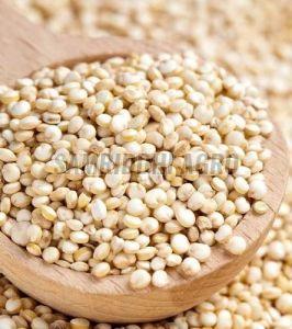 White Quinoa Seeds