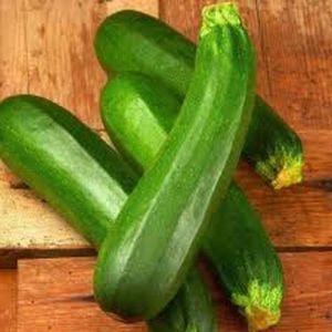 Fresh Green Zucchini