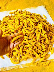 Dried Raw Turmeric Finger
