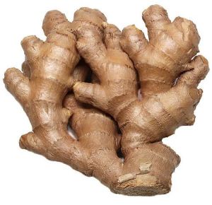Fresh Ginger Root