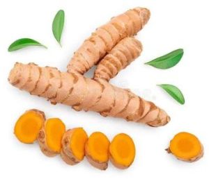 Fresh Raw Turmeric