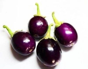 Fresh Round Brinjal