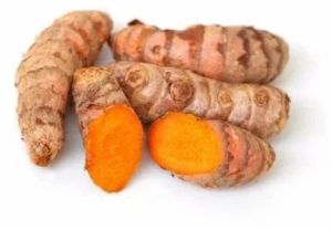 Fresh Turmeric Root