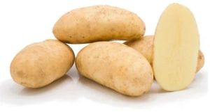 Kufri Sindhuri Potato