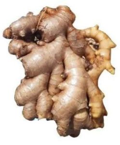 Organic Fresh Ginger