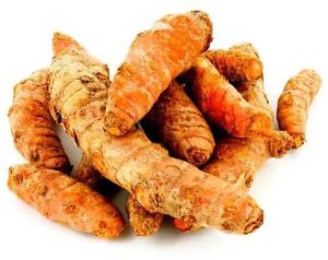 Organic Fresh Turmeric