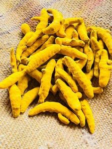 Organic Raw Turmeric Finger