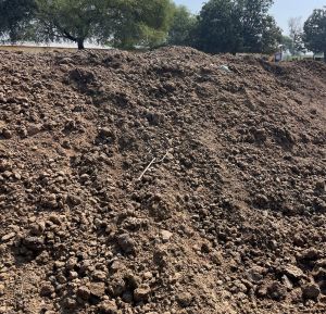 Cow Dung  Manure