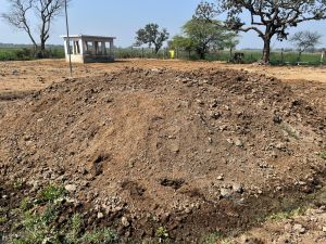 Cow Dung  Manure