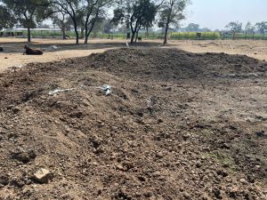 Organic Cow Dung Manure