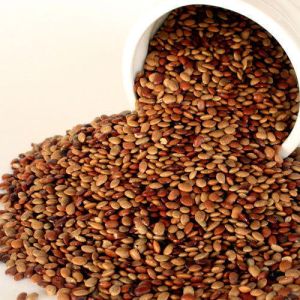 Indian Horse Gram
