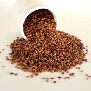 Organic Horse Gram