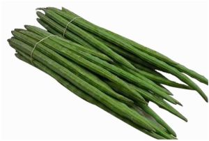Fresh Green Drumstick