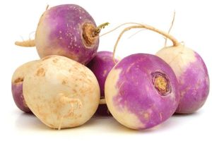A Grade Fresh Turnip