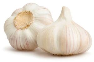 Fresh White Garlic