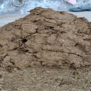Organic Raw Cow Dung