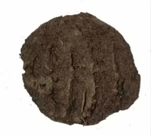 Wet Raw Cow Dung