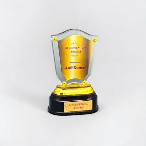 Acrylic Achievement Award Trophy
