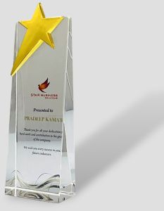 Acrylic Star Excellence Award Trophy